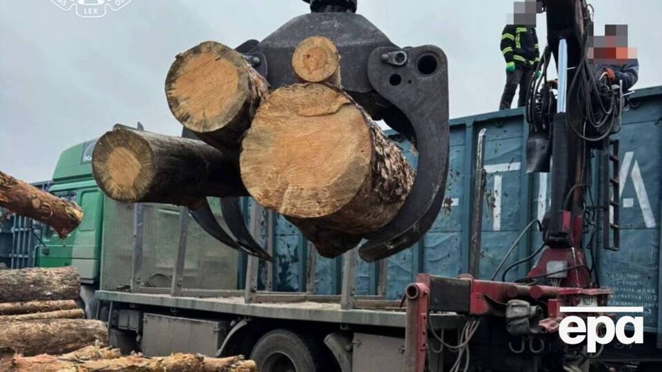 По результатам осмотра девяти вагонов обнаружено свыше 2 тыс. бревен сосны стоимостью более 1 млн грн, сообщили в ОГП