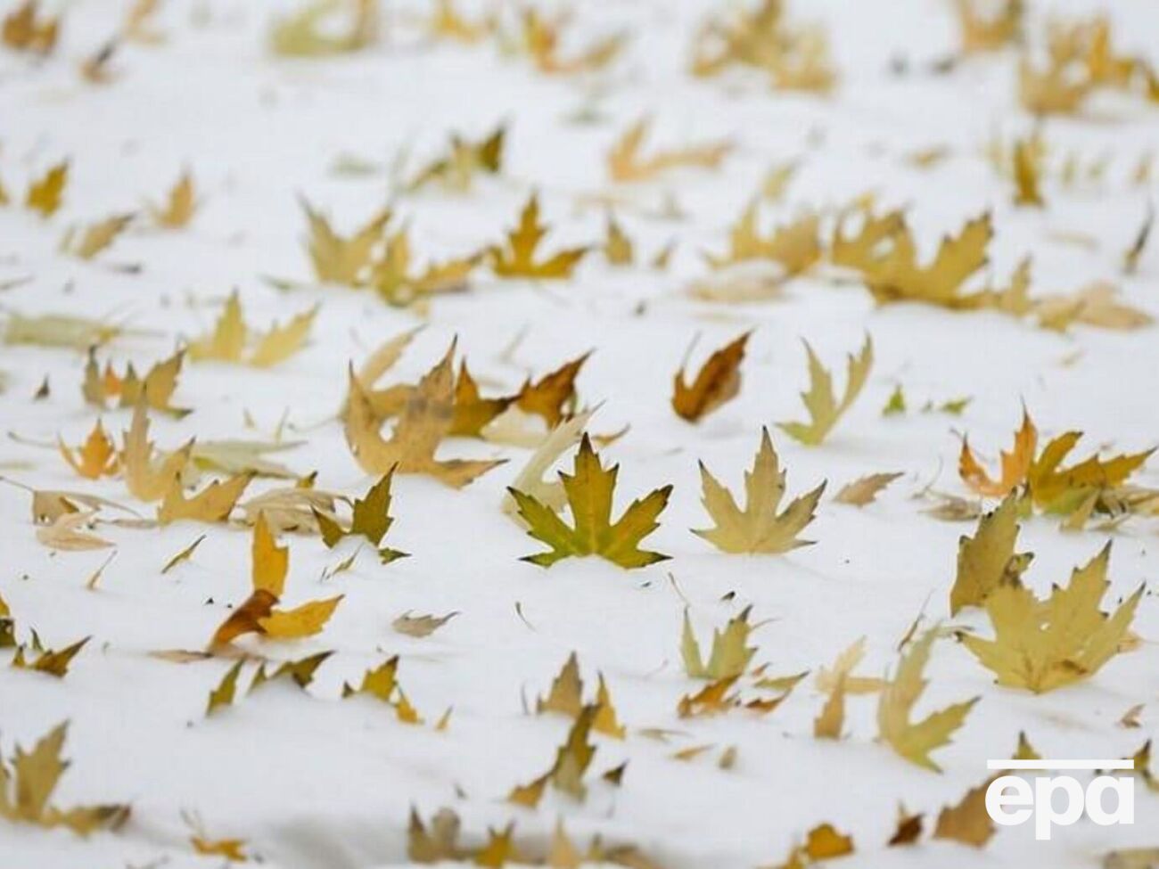 Метеорологічна зима починається після стійкого переходу середньої добової температури через 0 °C у бік зниження на північному сході країни й у Карпатах наприкінці листопада, нагадали синоптики