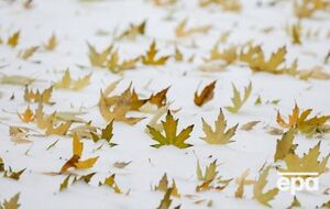 Метеорологічна зима починається після стійкого переходу середньої добової температури через 0 °C у бік зниження на північному сході країни й у Карпатах наприкінці листопада, нагадали синоптики