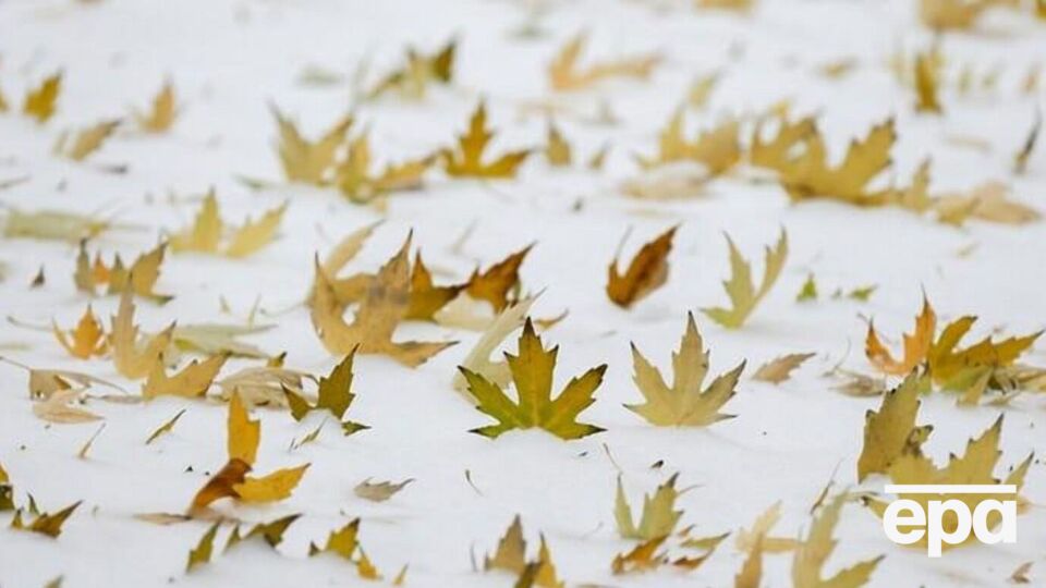 Метеорологическая зима начинается после устойчивого перехода средней суточной температуры через 0 °C в сторону понижения на северо-востоке страны и в Карпатах – в конце ноября, напомнили синоптики