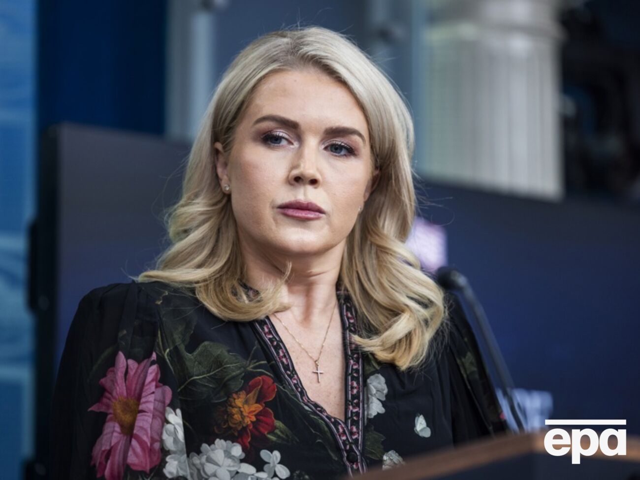 Ливитт сообщила об "огромном прогрессе" на пути к миру между Украиной и РФ