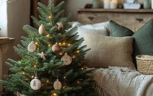 Если правильно ухаживать за рождественской елкой, она простоит несколько недель