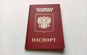 До сих пор непонятно, подлинные или поддельные эти российские паспорта, пишет RMF FM