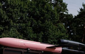 В Чехии собрали необходимые 12,5 млн крон на ракету "Фламинго"