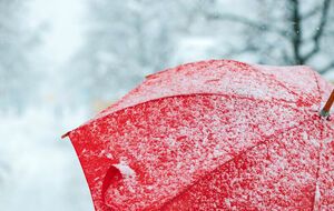 Если проанализировать поле атмосферного давления, станет очевидным тот факт, что в декабре будет преобладать устойчивый перенос воздушных масс с запада, говорится в статье