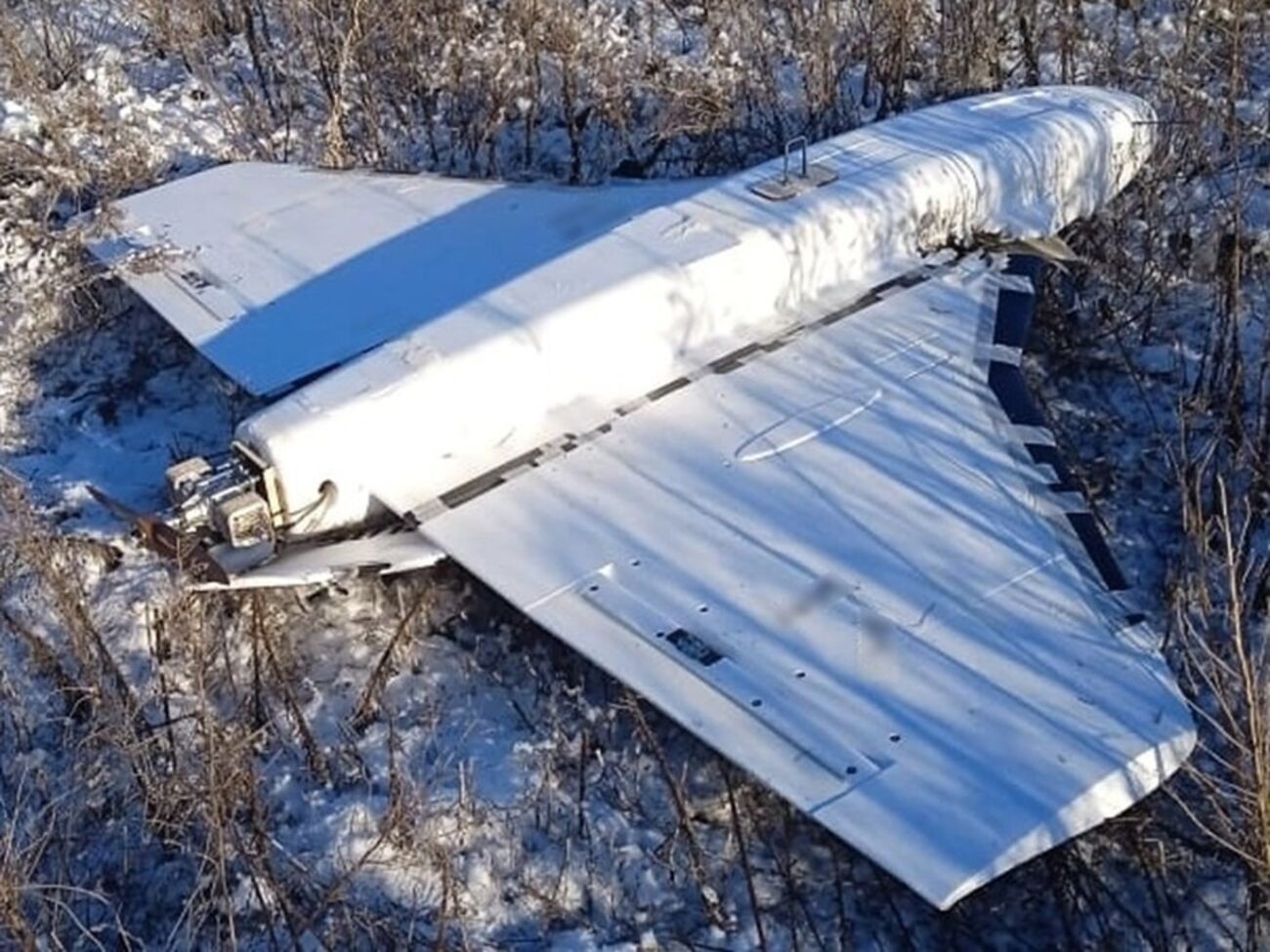 В Кишиневе сообщили, что в Молдову залетали "Герберы"