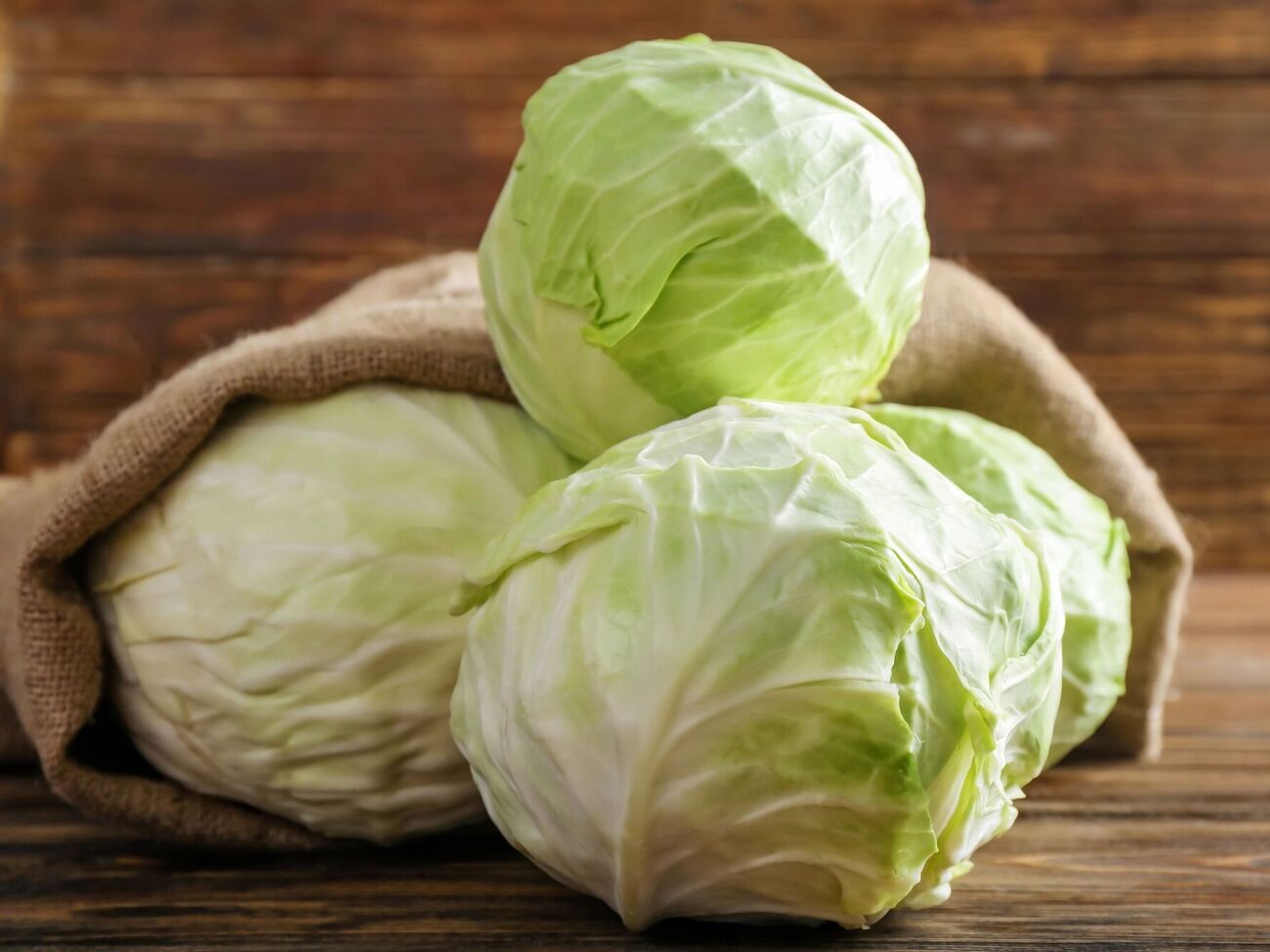 Для хранения пригодны поздние сорта капусты с плотными кочанами