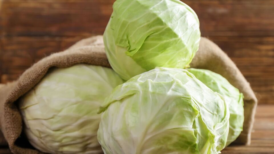 Для хранения пригодны поздние сорта капусты с плотными кочанами