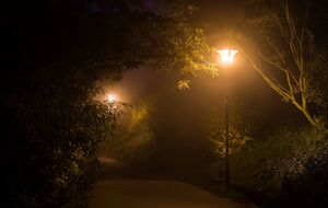 В сообщении говорится о якобы 11 потерпевших, однако полиции не поступало ни одного заявления об инцидентах