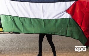 Законодавство ПАР забороняє громадянам надавати військову допомогу іноземним урядам або брати участь у збройних силах інших держав без відповідного дозволу