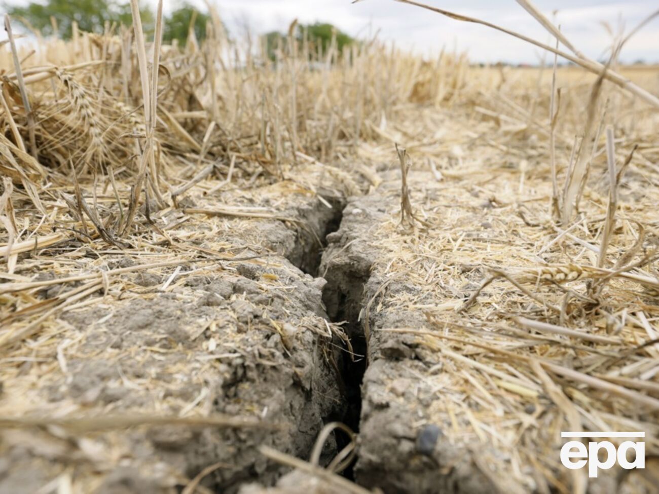 Скорочення прісної води в Європі вчені пов'язують із кліматичними змінами