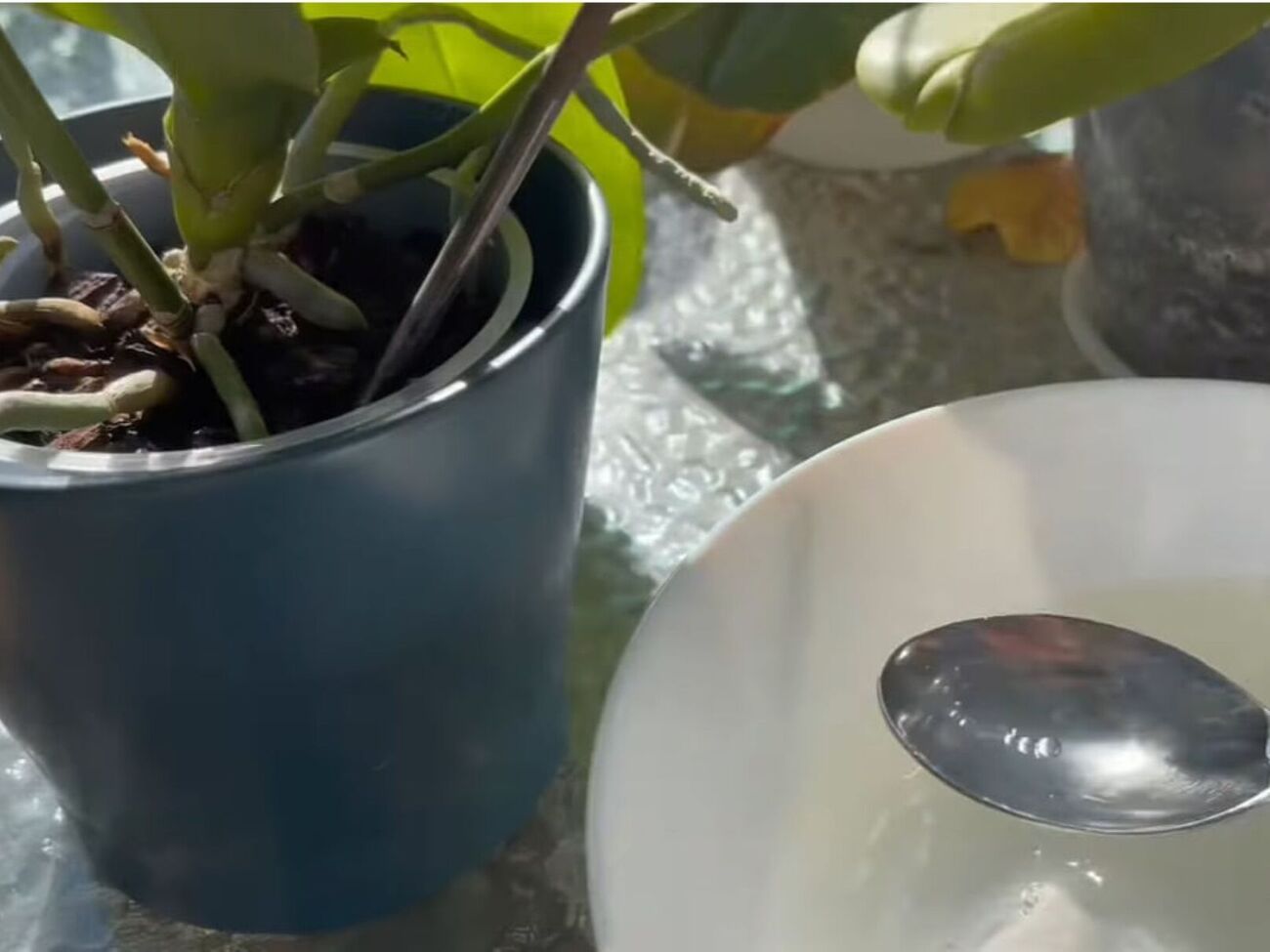 Для приготовления удобрения понадобятся картофельные очистки и чеснок