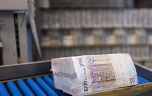 За словами Улютіна, в уряді очікують орієнтовно 10 млн заяв