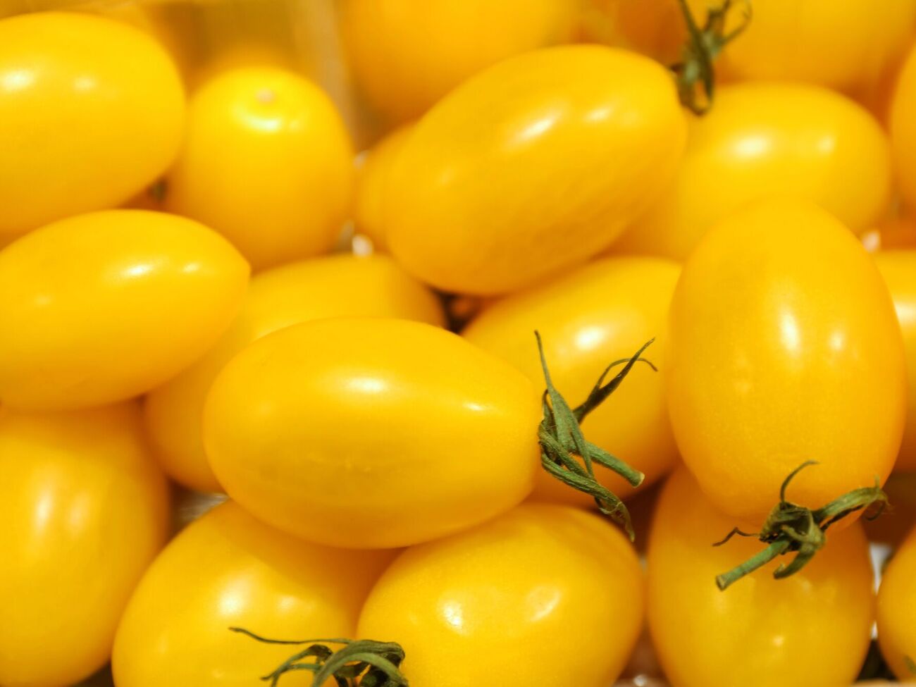 Назвали найсолодший сорт томатів. Їх варто посіяти наступного сезону