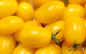 Назвали найсолодший сорт томатів. Їх варто посіяти наступного сезону