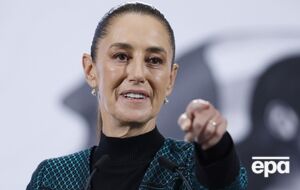 Полиция арестовала мужчину, который домогался Шейнбаум