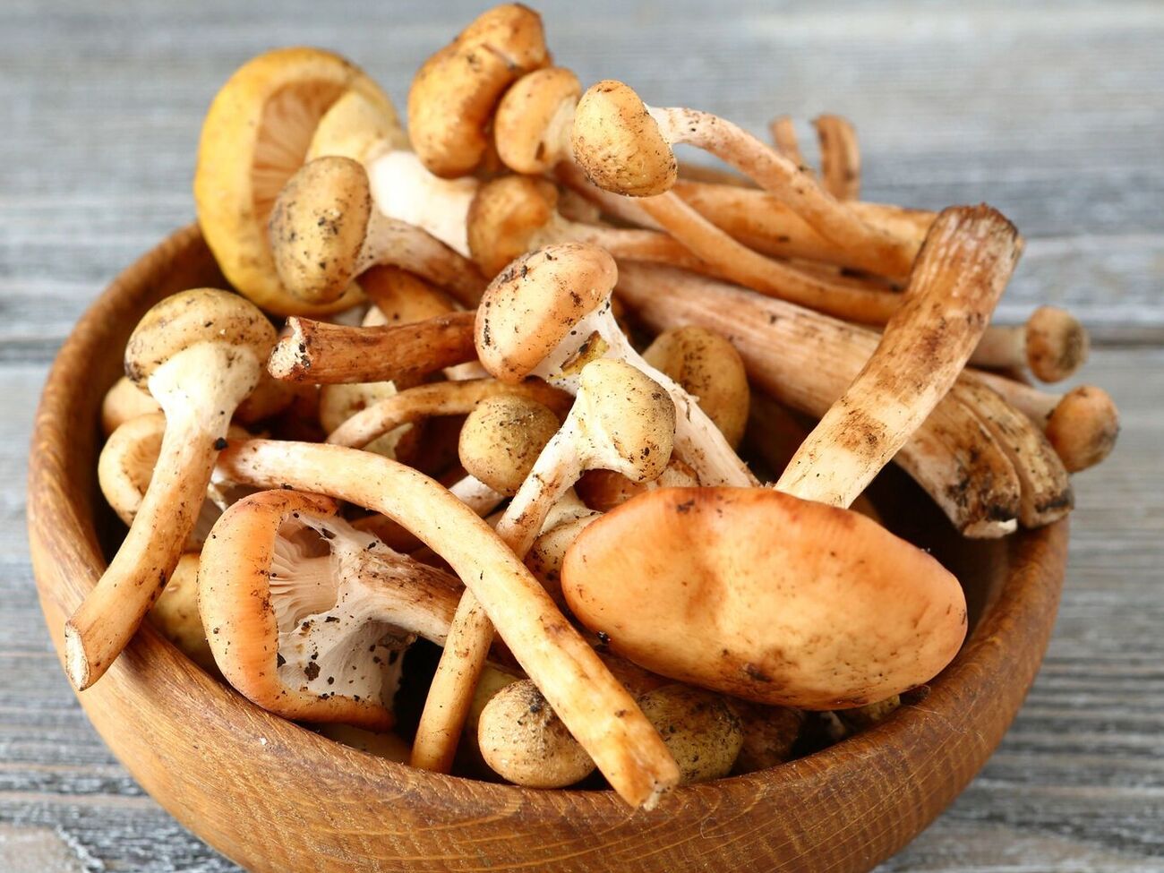 Гриби треба варити 25 хвилин після закипання другої води