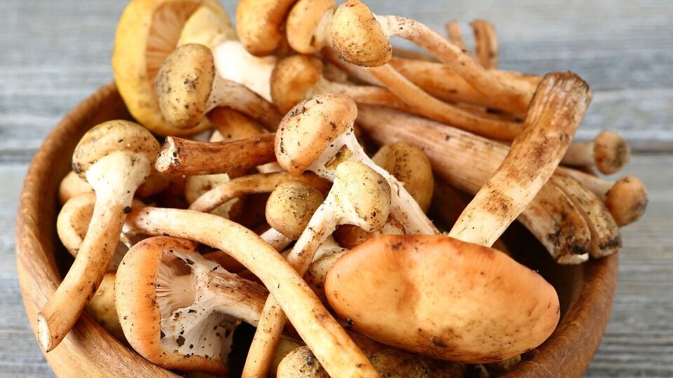 Грибы нужно варить 25 минут после закипания второй воды