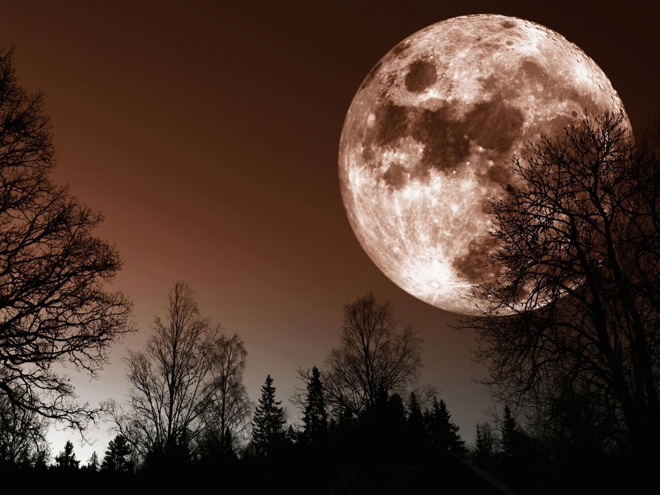 Луна – это "шумное поле боя", где постоянно возникают новые кратеры