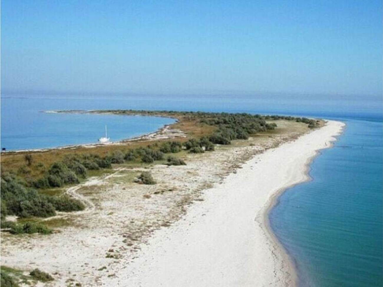 В результате войны, которую развязала Россия, многие экосистемы юга Украины были повреждены или уничтожены