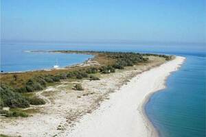 Унаслідок війни, яку розв'язала Росія, чимало екосистем півдня України було пошкоджено або знищено