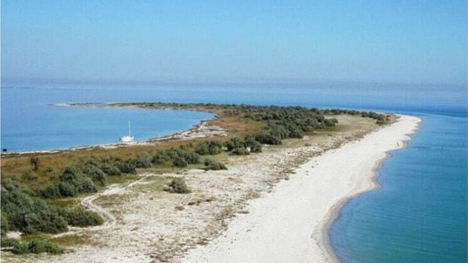 В результате войны, которую развязала Россия, многие экосистемы юга Украины были повреждены или уничтожены