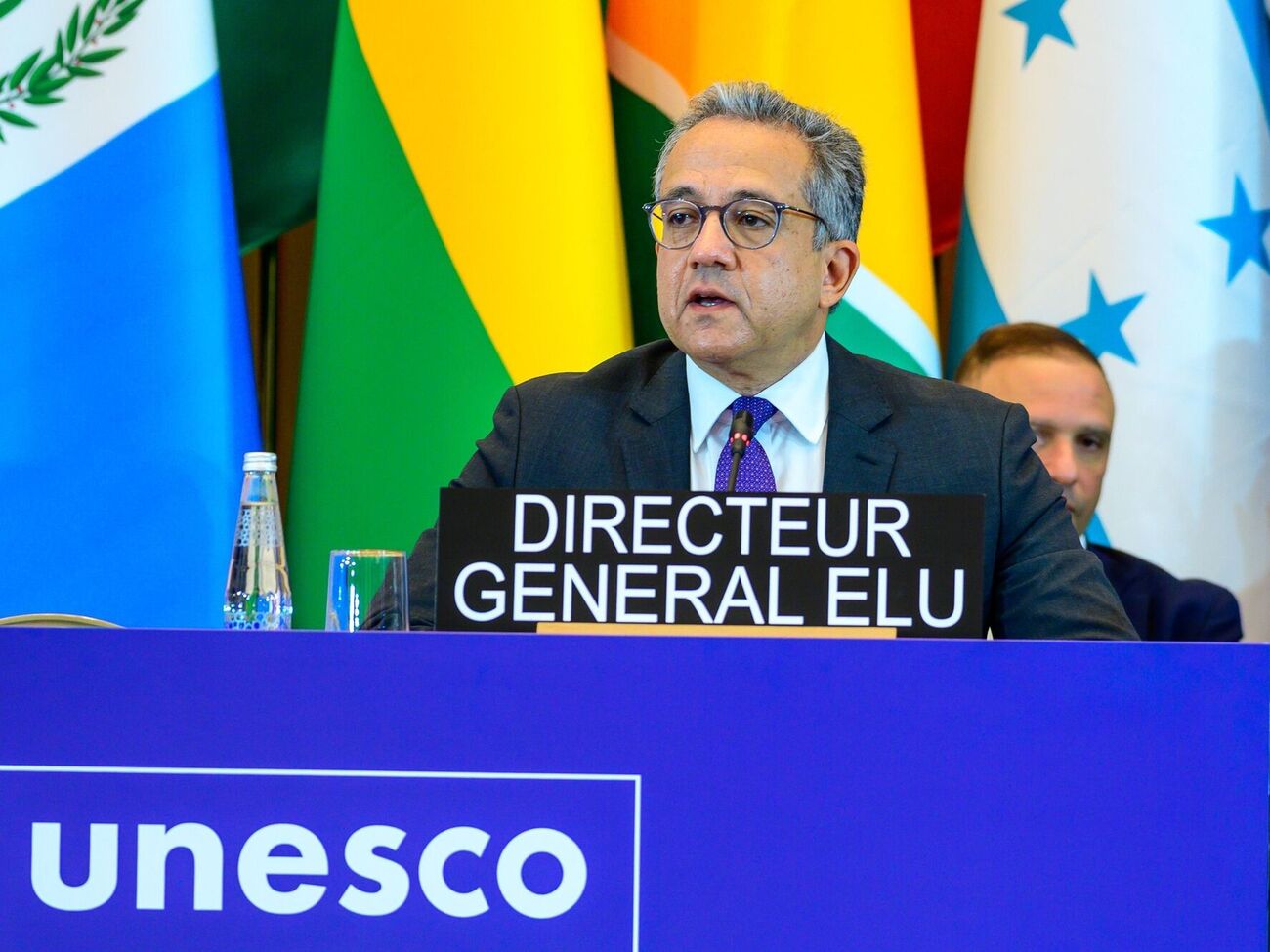 Аль-Анани стал 12-м главой ЮНЕСКО