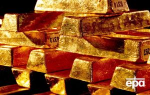 Мужчина наткнулся на несколько пластиковых пакетов, внутри которых было пять золотых слитков и многочисленные золотые монеты, рассказали журналисты