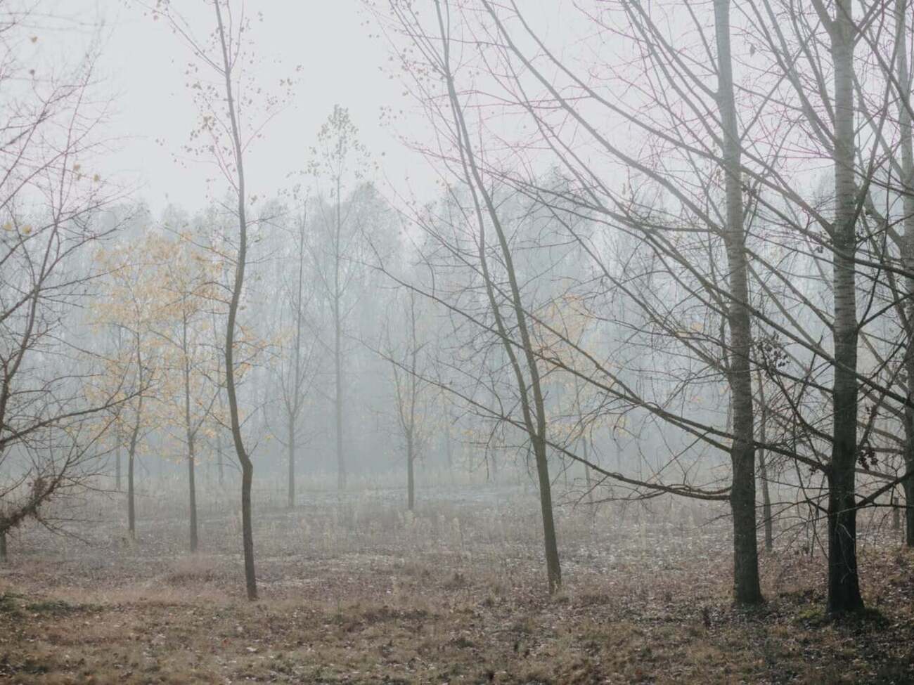 У неділю, 9 листопада, дощі охоплять значну частину України, окрім східних областей