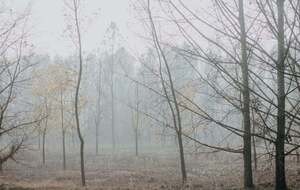У неділю, 9 листопада, дощі охоплять значну частину України, окрім східних областей