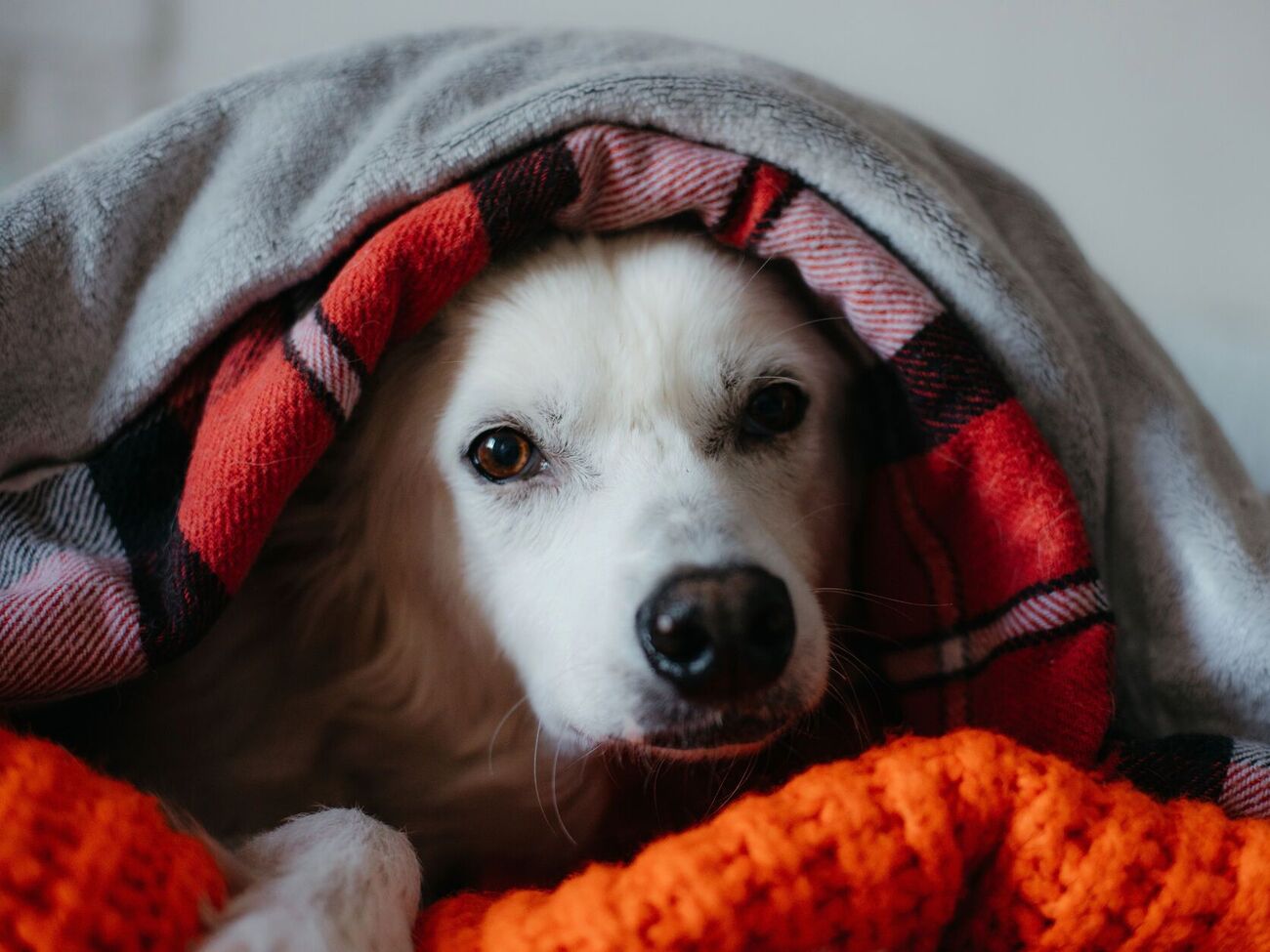 Регулярное проветривание одеял на морозе поможет увеличить интервал между стирками, но не заменит их