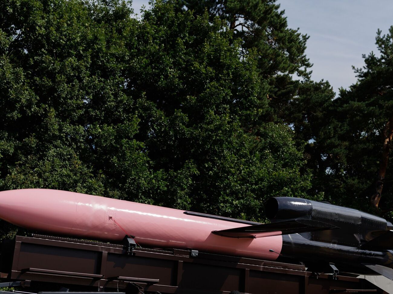 СМИ назвал, в чем, по его мнению, преимущество украинской ракеты "Фламинго" над западным вооружением