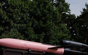 СМИ назвал, в чем, по его мнению, преимущество украинской ракеты "Фламинго" над западным вооружением