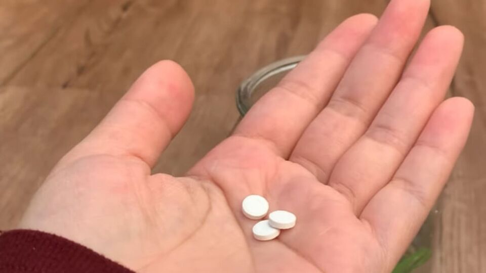 Цветоводы посоветовали приготовить питательный раствор на основе витамина В1