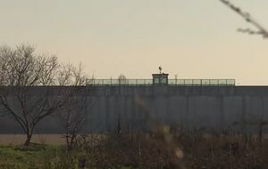 Недавно Таулант сбежал из тюрьмы строгого режима Opera в Милане, сообщили СМИ