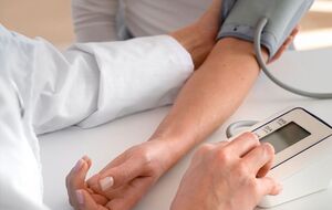 Программа заработает 1 января 2026 года