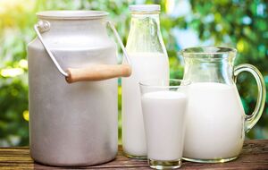 Молоко с добавлением соды годится только для приготовления теста