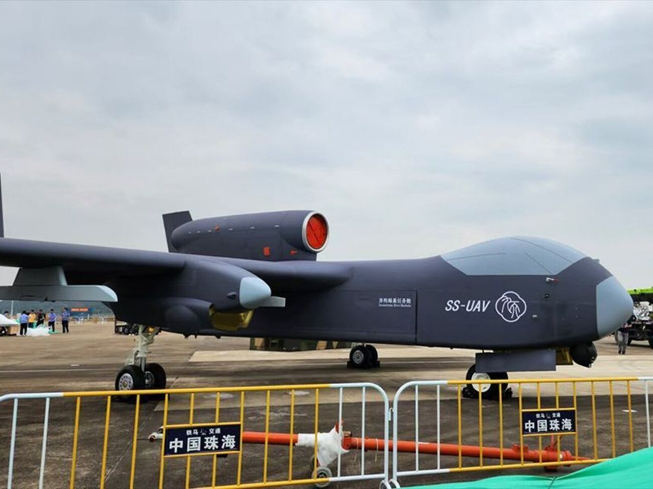 БПЛА может нести рой дронов-камикадзе