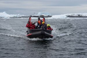 Цієї зими море навколо "Вернадського" не замерзало