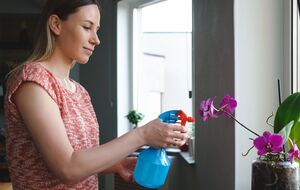 Цветоводы рекомендуют отстаивать воду для полива