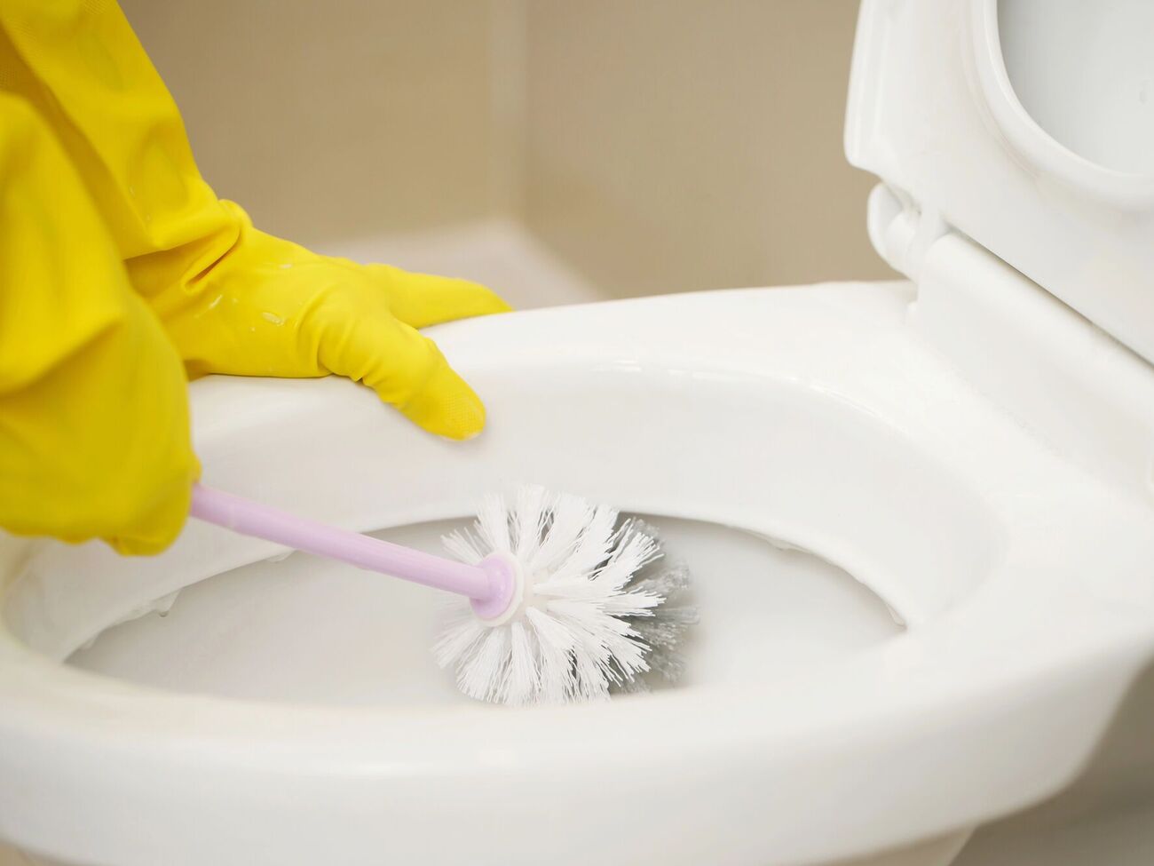 Чтобы отмыть унитаз, понадобится в том числе жесткая щетка