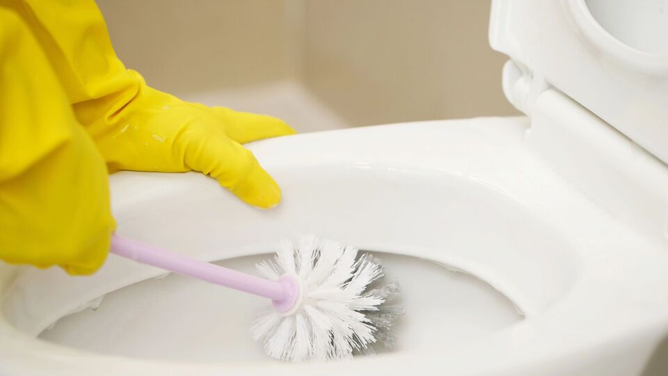 Чтобы отмыть унитаз, понадобится в том числе жесткая щетка