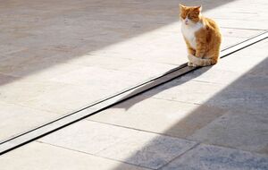 Цього тижня в Україні потеплішає