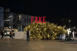 В ЛГС заявили, что главная рождественская елка Львова стоит на своем месте и она не падала