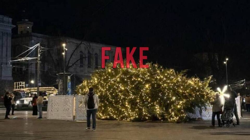 В ЛГС заявили, что главная рождественская елка Львова стоит на своем месте и она не падала