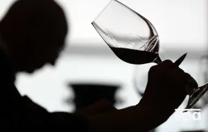 У МЗС України наголосили, що конкурс росіяни використовували для пропаганди