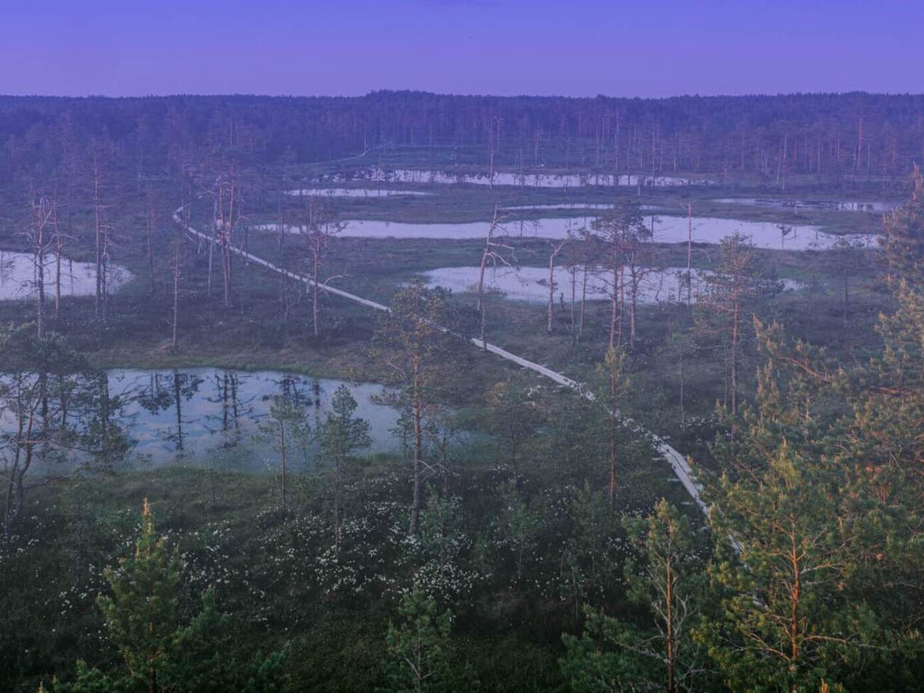 МИД Эстонии: Нарушение российских пограничников зафиксировали камеры наблюдения