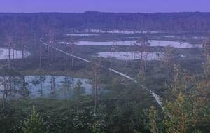 МИД Эстонии: Нарушение российских пограничников зафиксировали камеры наблюдения