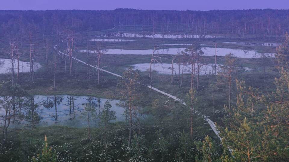 МИД Эстонии: Нарушение российских пограничников зафиксировали камеры наблюдения