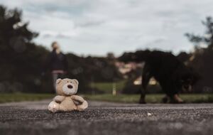 Кравченко заявил, что ребенок умер из-за безразличия взрослых